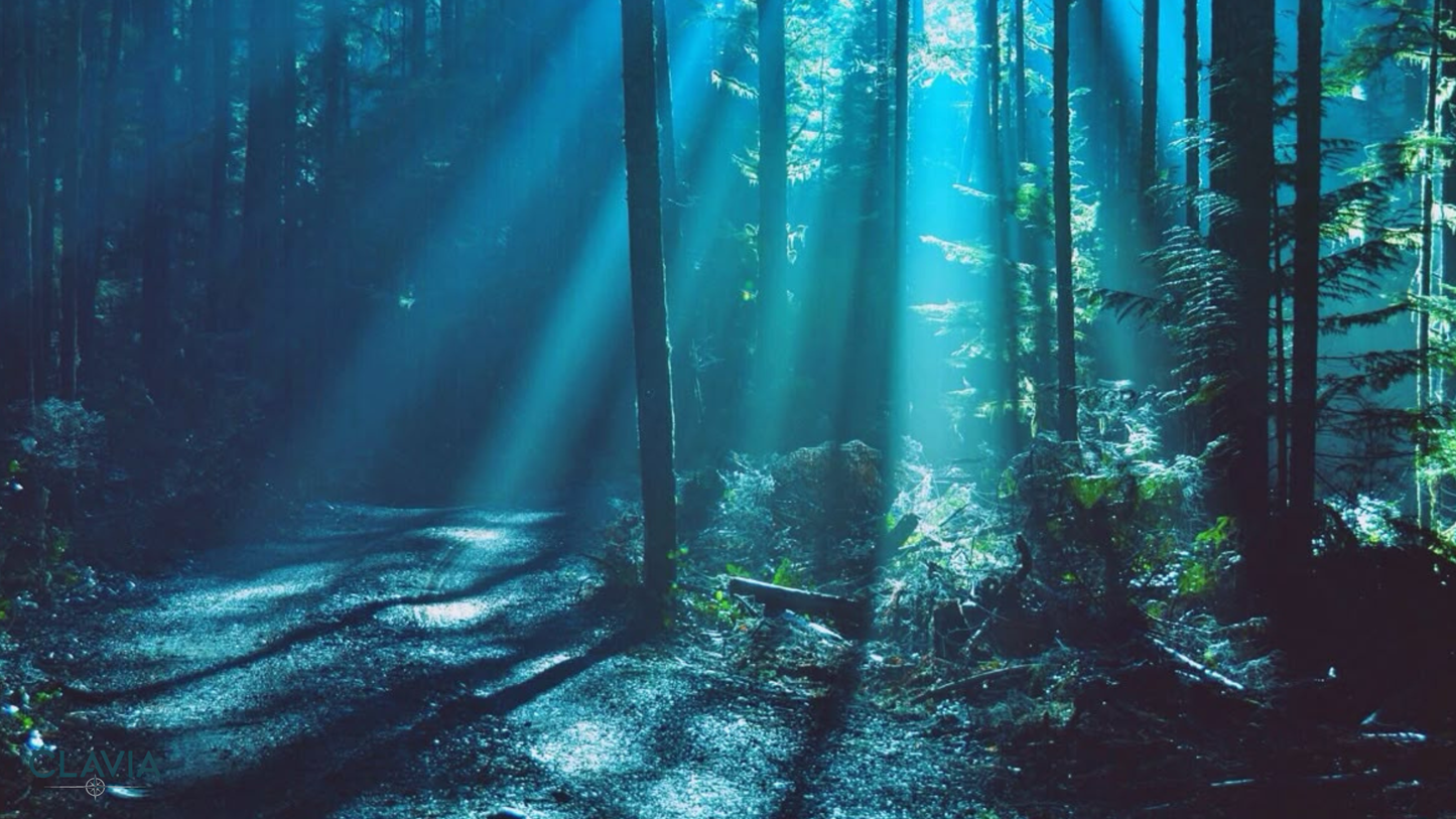 TWILIGHT WALL POSTER